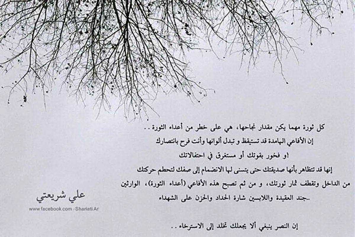 عکس: ترجمهٔ جملات دکتر شریعتی دربارهٔ انقلاب در وب‌سایت‌های بهار عربی