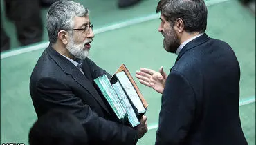 عکس/ گفت و گو مطهری و حداد عادل