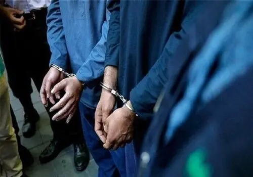 حمایت خواننده مشهور ترک از اغتشاشات ایران!