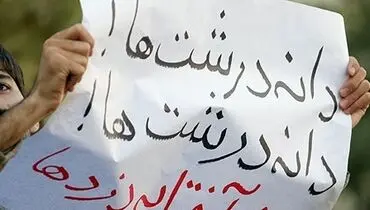 مبارزه با مفاسد اقتصادی؛ اعتماد عمومی به نظام