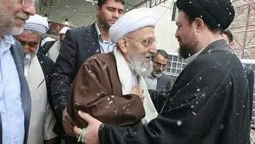 عکس/ سیدحسن خمینی و مهدوی‌ کنی در برف