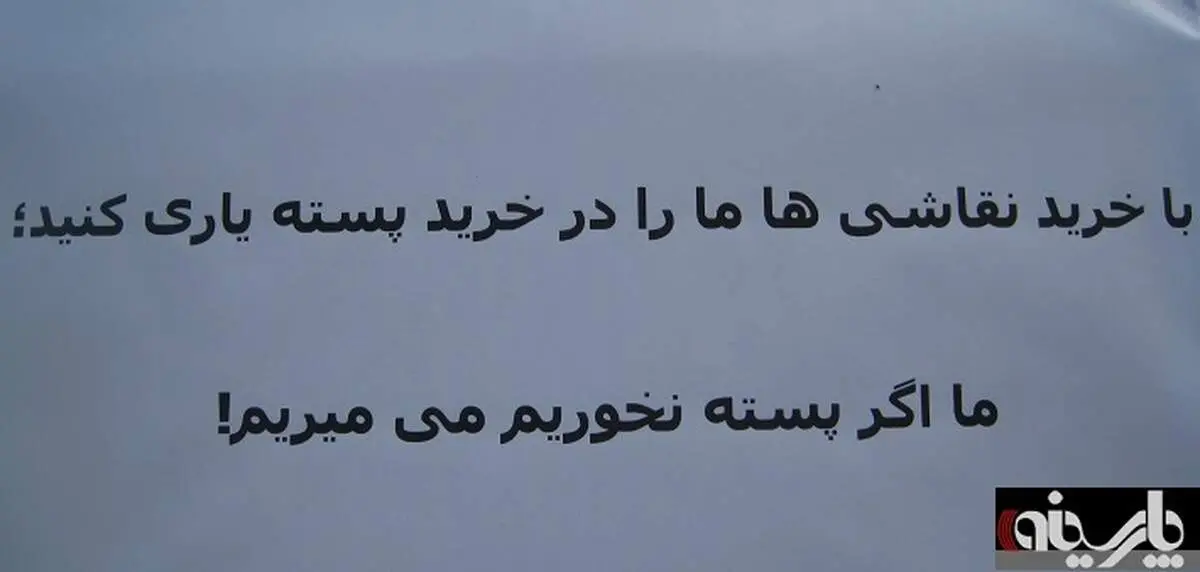 «من اگه پسته نخورم میمیرم»+ عکس