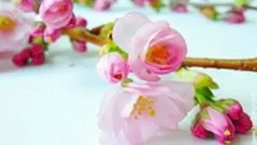 بهار می آید و من آبی می شوم...