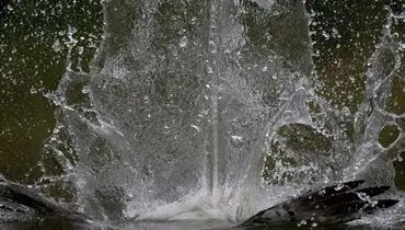 شکار ماهی!(تصاویر)