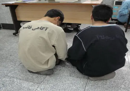 چه شد که قیطریه از اهمیت بالایی برخوردار شد؟