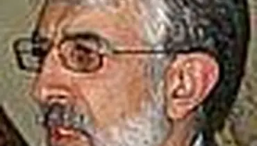 استقبال از سایت ها بخاطر "نوظهور" بودن است
