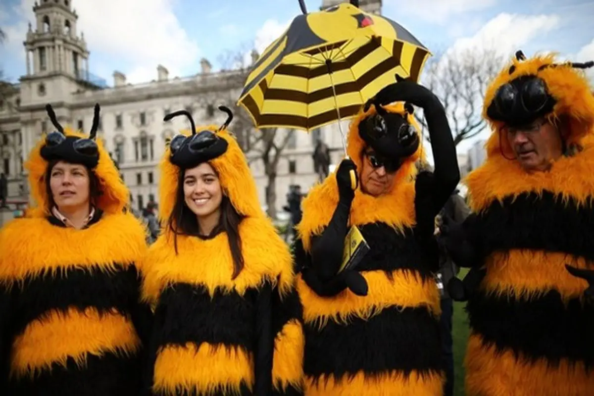 عکس/ اجتماع هواداران حقوق زنبورها در لندن