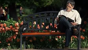 گل‌های لاله در بوستان تهران