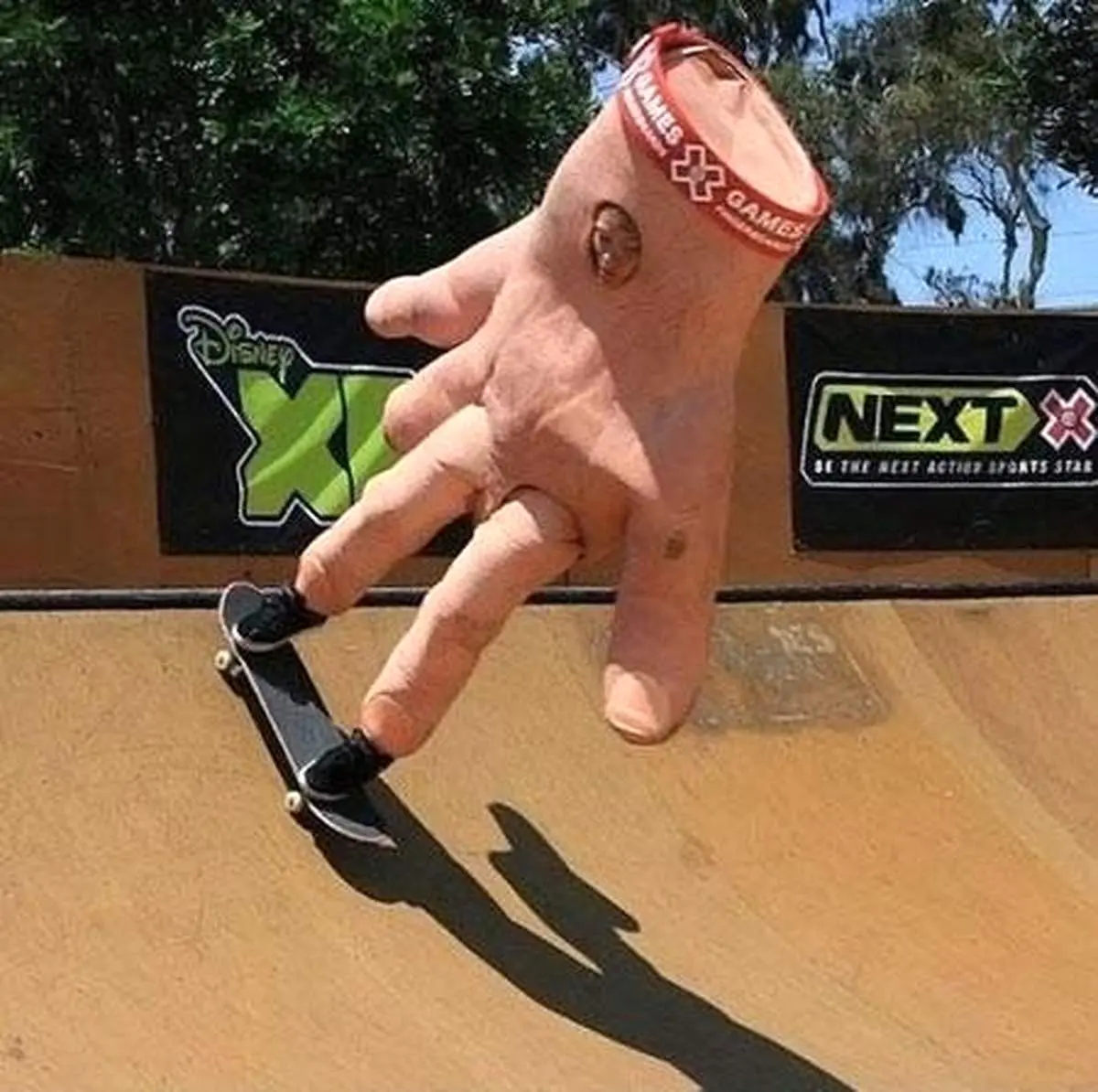 عکس / دست اسکی باز