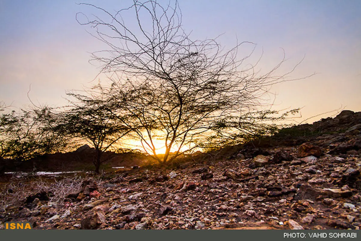 طبیعت زیبای جزیره هرمز