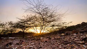 طبیعت زیبای جزیره هرمز