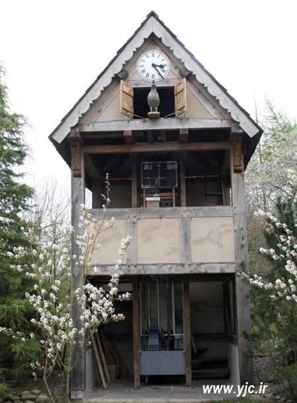 بزرگ ترین ساعت کوکویی دنیا +عکس