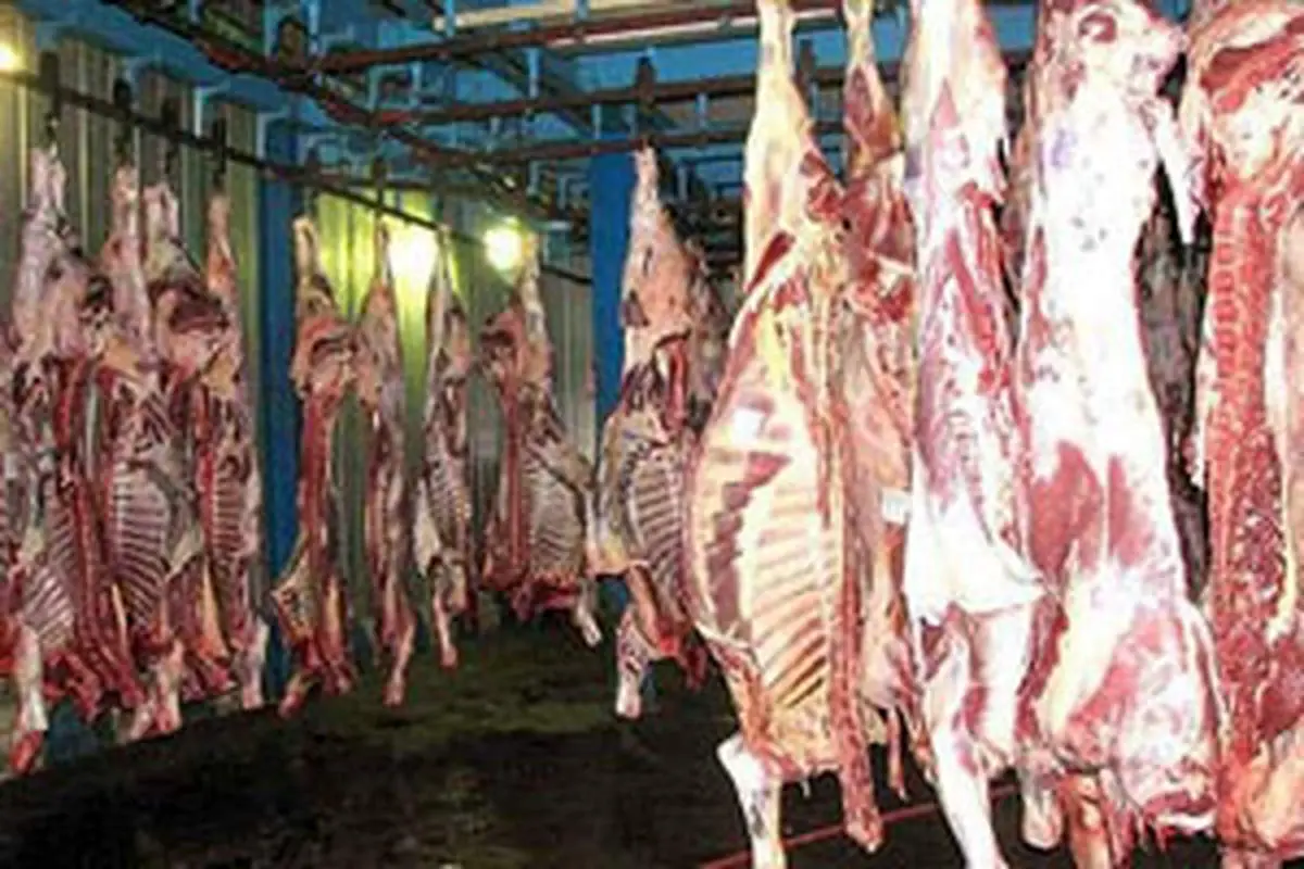 از ماجرای گوشت های آلوده تا واردات از قطب جنوب بدون اطلاع گمرک !