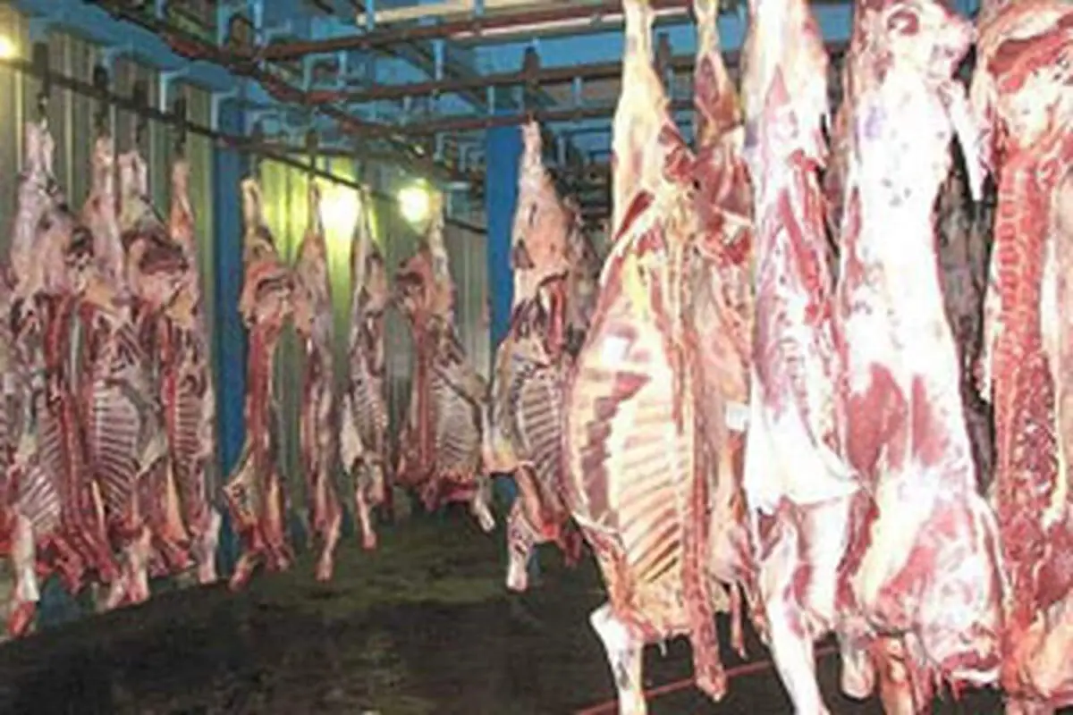 از ماجرای گوشت های آلوده تا واردات از قطب جنوب بدون اطلاع گمرک !