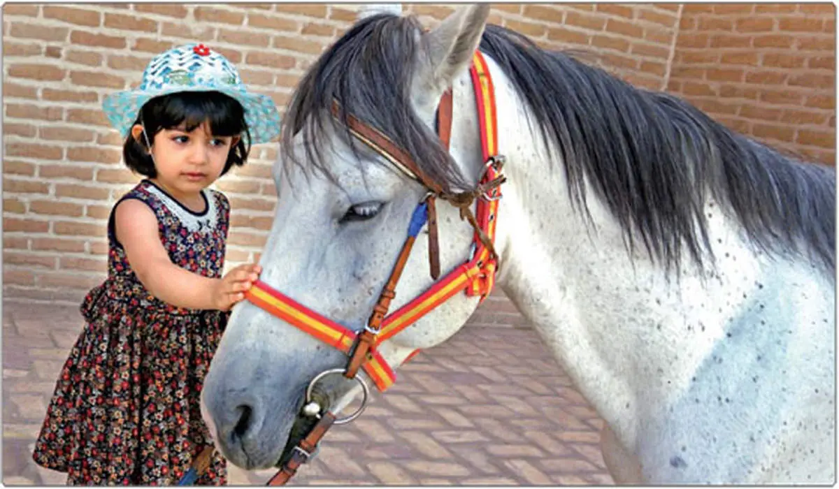 عکس/ دوستی نجیب