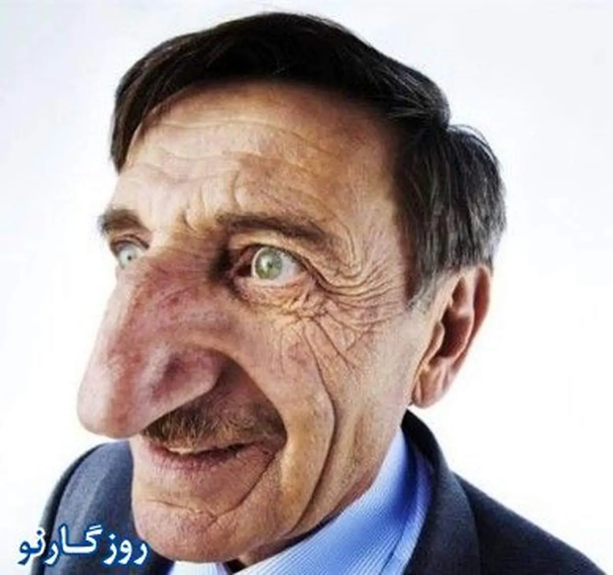 عکس/ بزرگترین بینی جهان