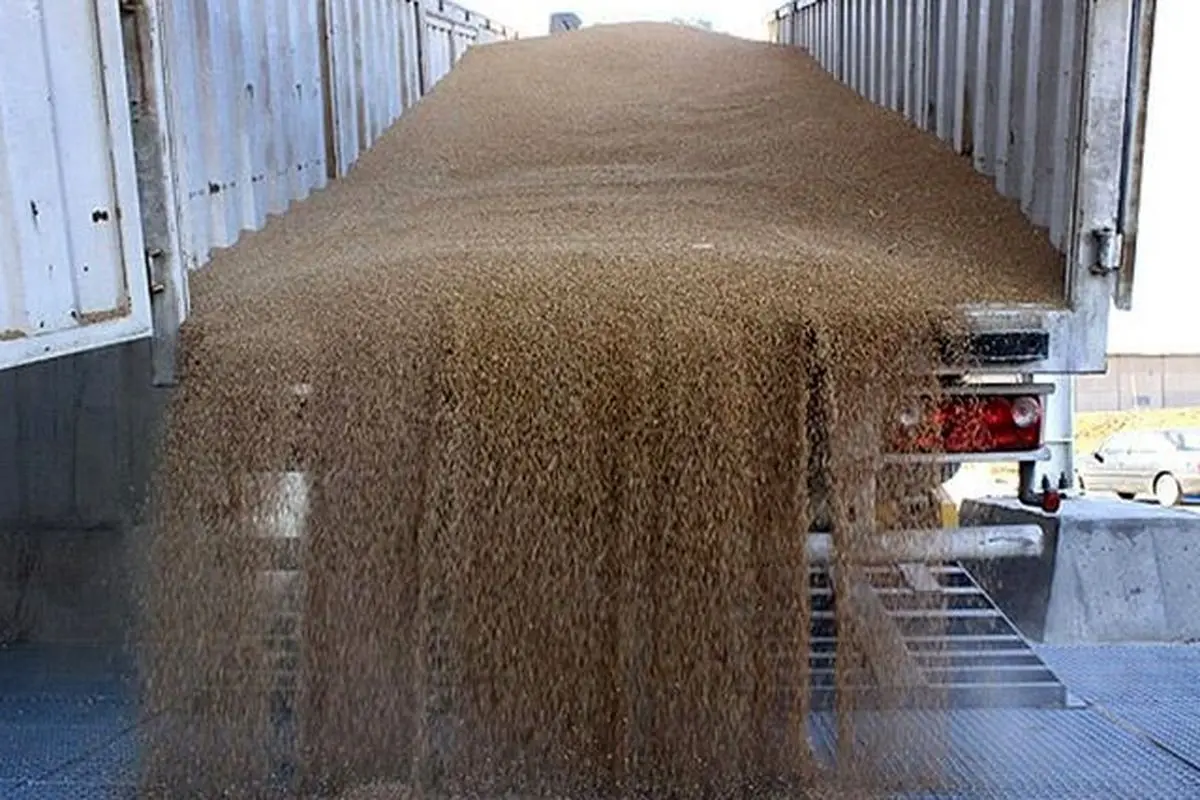 چرا ایران به بزرگترین وارد کننده گندم تبدیل شد؟