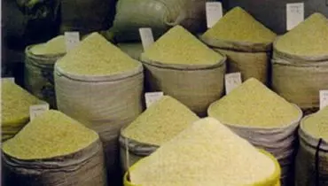 از واردات بی رویه برنج های آلوده تا نابودی کشاورزی چقدر راه است؟