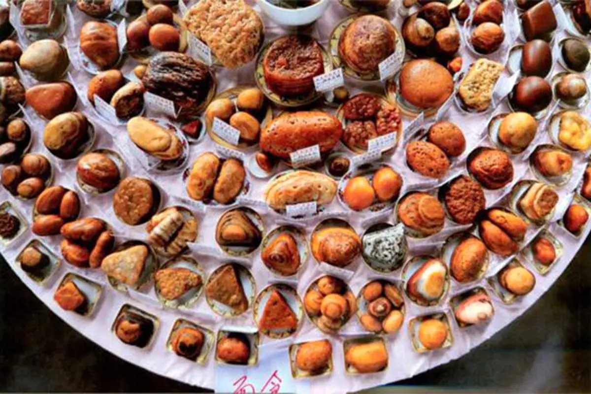 نگاه کنید اما گاز نزنید! / تصاویر