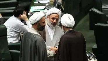 حواشی صحن علنی مجلس/ تصاویر