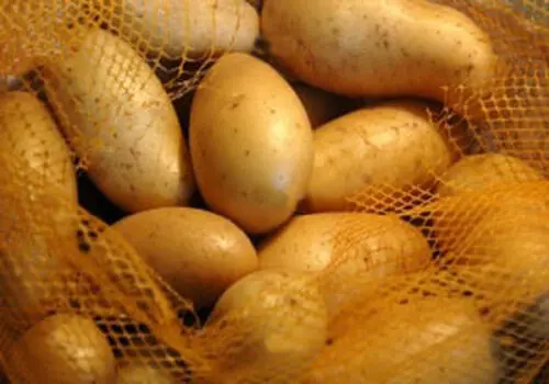 ترکیب جذاب مرغ و سیب زمینی برای یک ناهار سریع و راحت