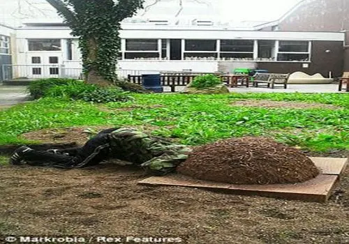 10 نکته برای حرفه ای شدن در عکاسی دیجیتالی 
