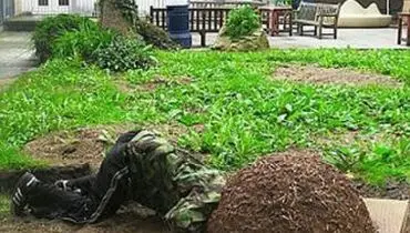 هنر عجیب یک هنرمند (عکس)
