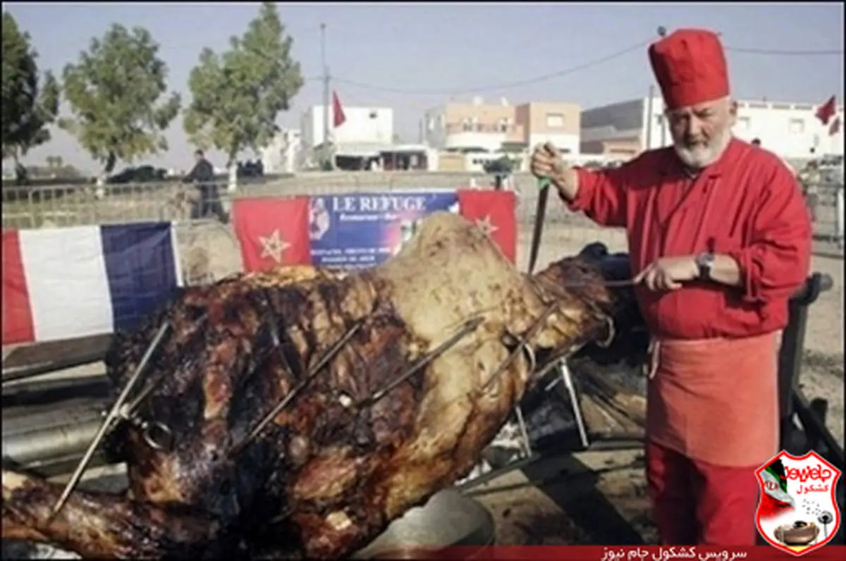 شتر شکم پر کامل وسط سفره غذا! + عکس