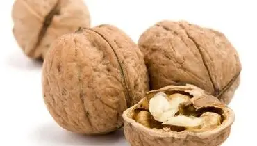 بيماران قلبي گردو بخورند