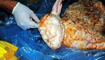 تولد بره ای با سر انسان! + عکس