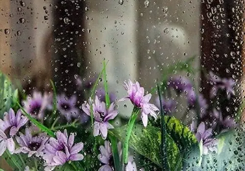 هشدار جدی هواشناسی به  پایتخت‌نشینان