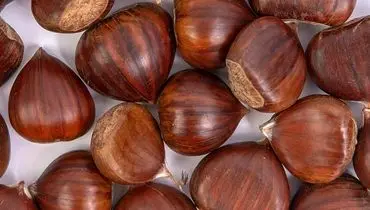 خواص فندق برای کبد چرب
