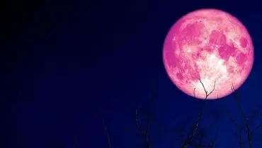 همه چیز درباره آخرین ماه بهار؛ ماه توت فرنگی
