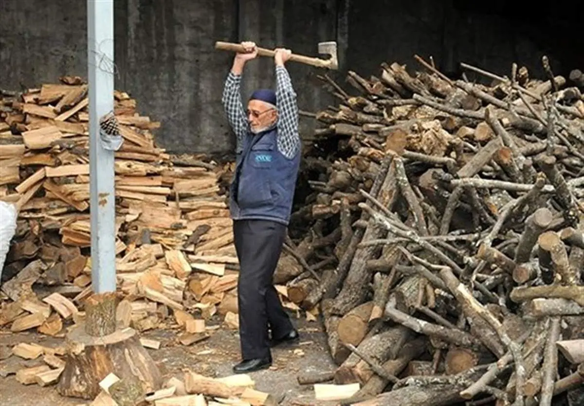 تصاویر اختصاصی از آخرین هیزم‌فروشان تهران 