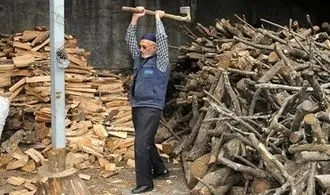 تصاویر اختصاصی از آخرین هیزم‌فروشان تهران 