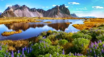 ایسلند؛ تنها سرزمین بدون پشه  و مار در جهان + فیلم