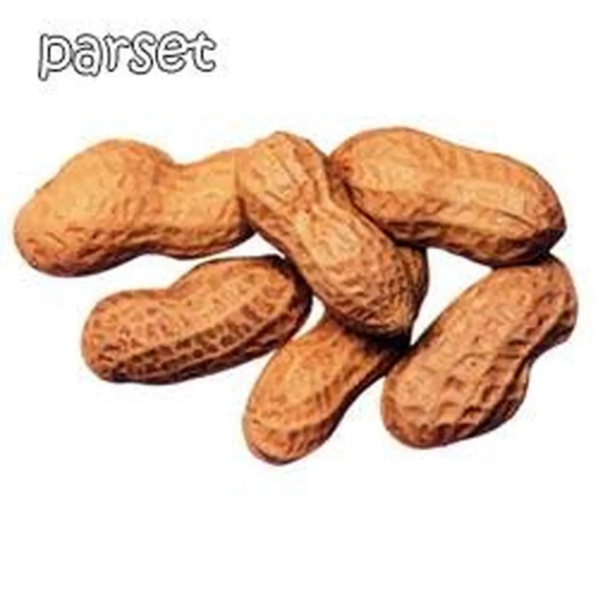 فواید و مضرات بادام زمینی؟؟