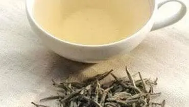 چای سفید را بهتر بشناسیم!