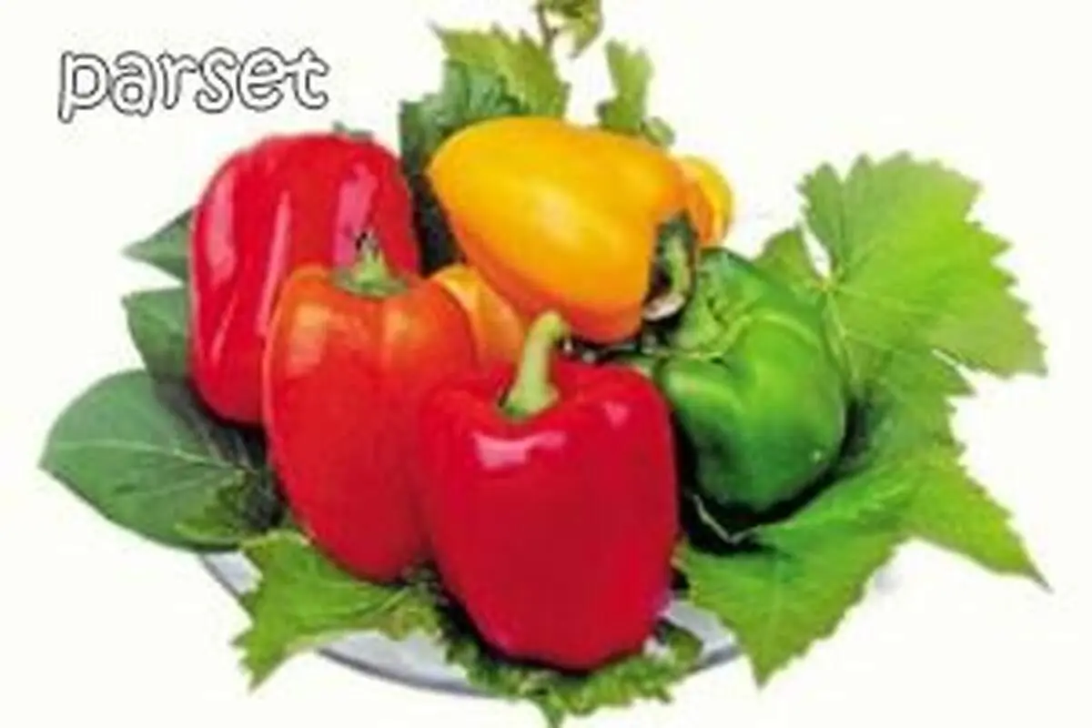 خواص درمانی فلفل دلمه ای