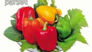 خواص درمانی فلفل دلمه ای