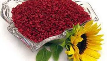 زرشک ، درمانی برای انواع عفونت ها