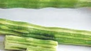 «چوب طبل» سرشار از آهن
