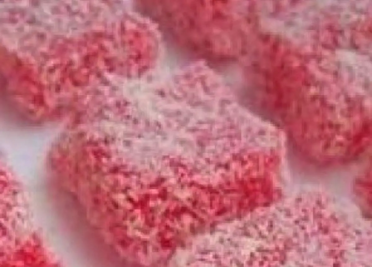 باسلوق انار