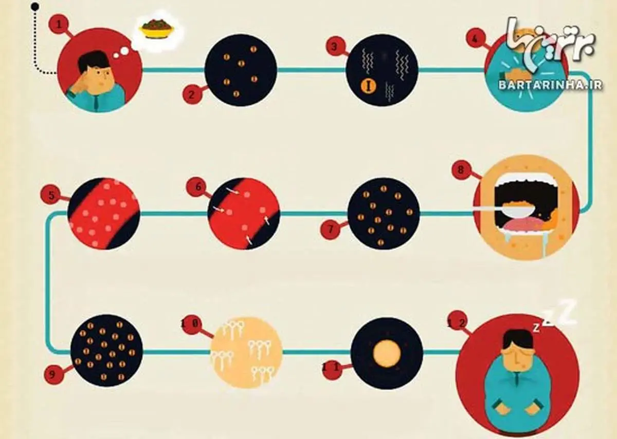 کدام خطرناک‌تر است؟ قند یا چربی؟
