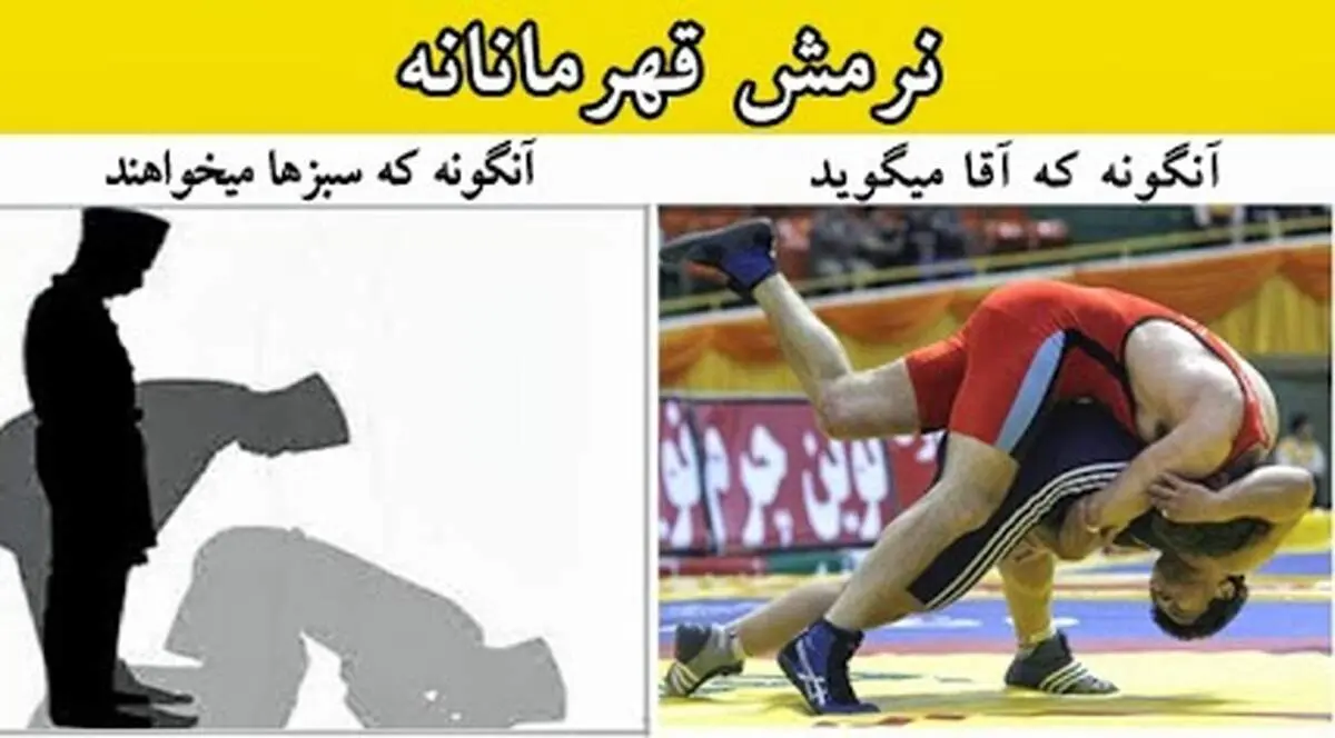 بازخوردهای "نرمش قهرمانانه " در فضای مجازی