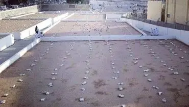 عکس/ قبرستانی در کنار مسجد الحرام