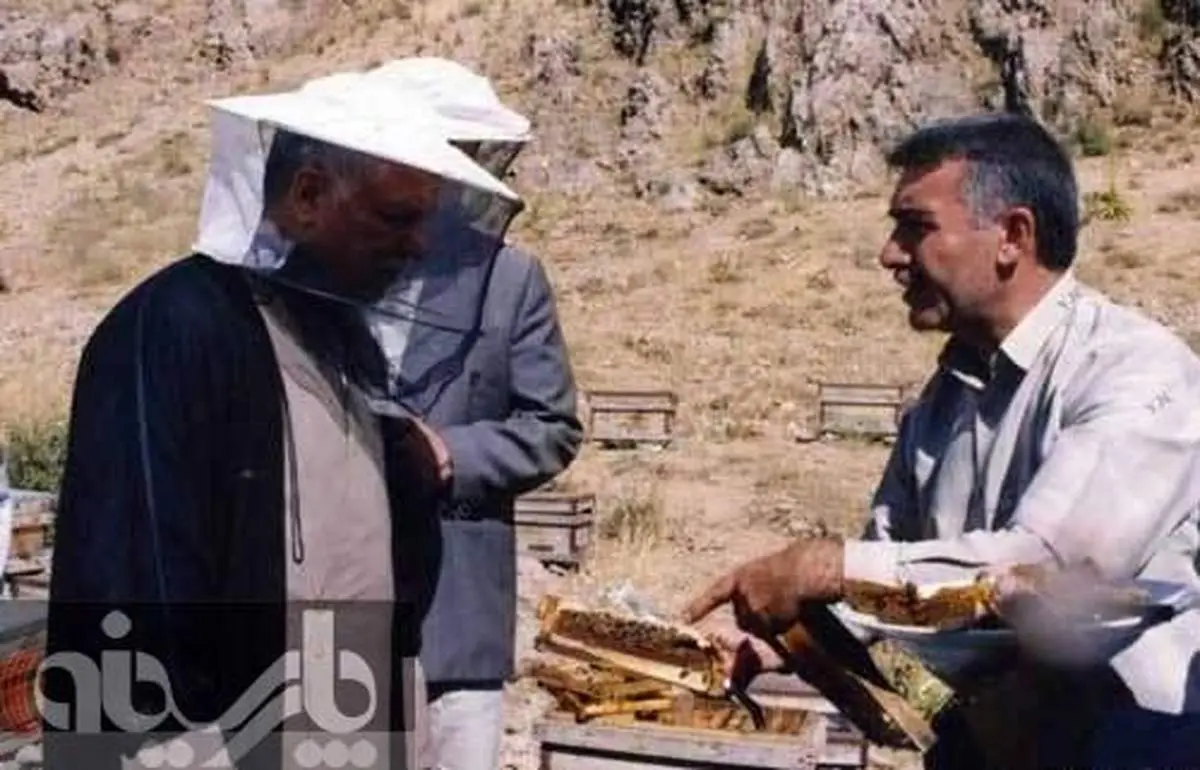 عکس: بازدید هاشمی رفسنجانی از کندوی عسل!