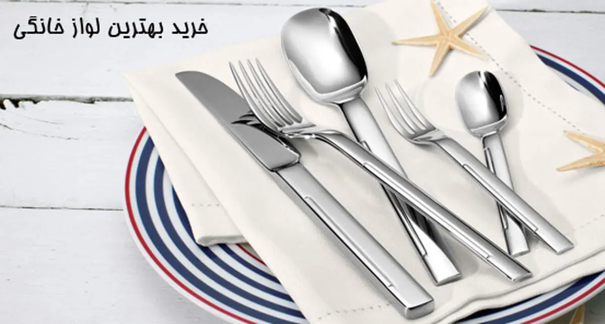 اگر شما هم عاشق ته دیگ هستید،حتما بخوانید