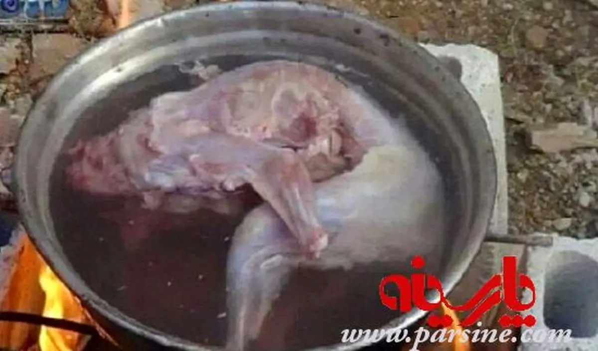 عکس/ گربه خوری در سوریه از فرط گرسنگی !