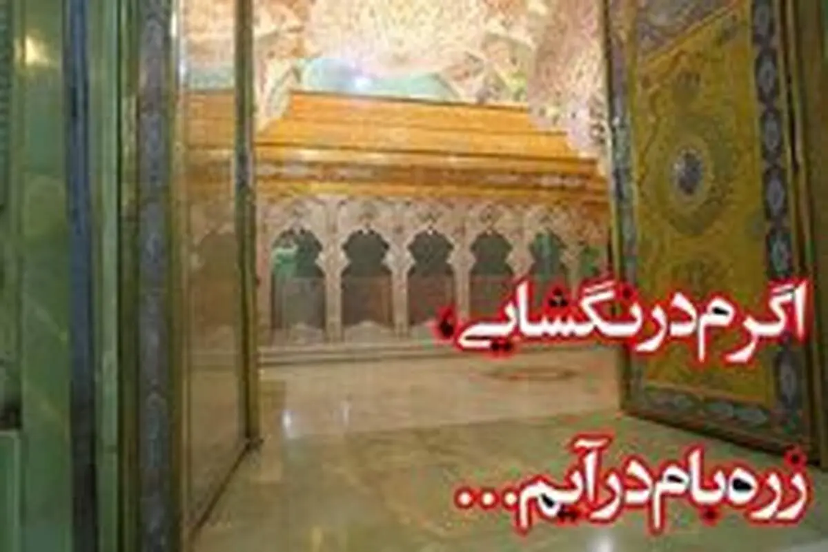 دارم می روم کربلا .../روایت یک زیارت